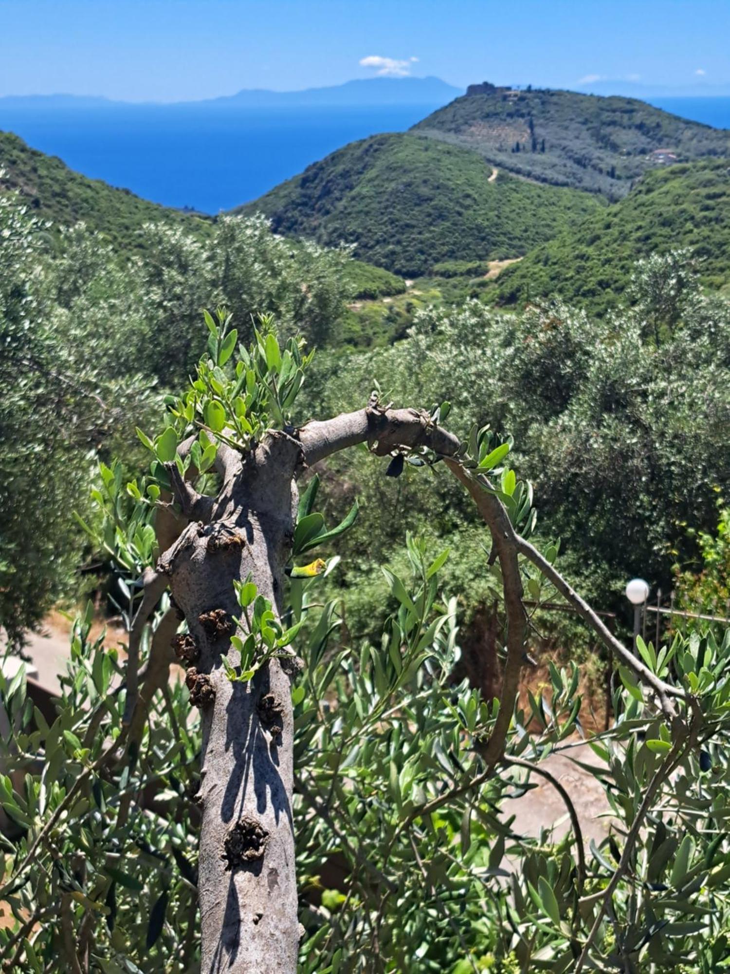 Sogno 2 Villa Parga Luaran gambar